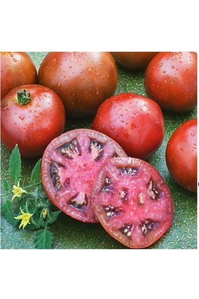 Muka Botanik Siyah Prens Domates Tohumu ürün görseli