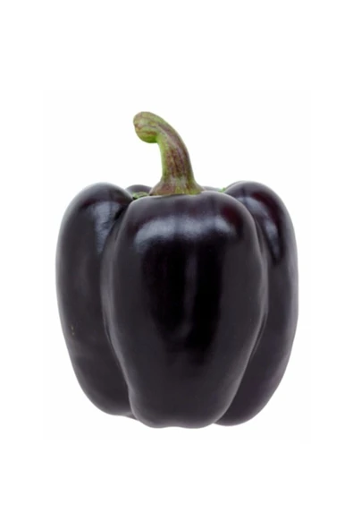 Muka Botanik 20 Adet Mor Dolmalık Biber Tohumu ürün görseli