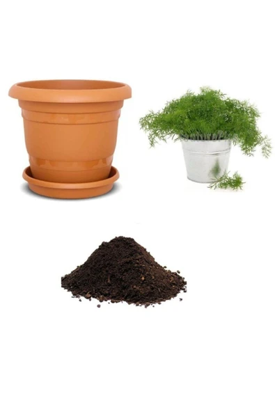 Muka Botanik Geleneksel Dere Otu Tohumu Ekim Seti ürün görseli