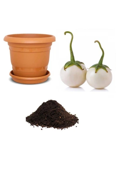 Muka Botanik Nadir Ithal Beyaz Patlıcan Tohumu Ekim Seti 5 ürün görseli