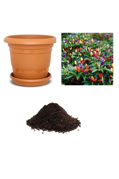 Muka Botanik Yediveren Acı Kıbrıs Biberi Tohumu Ekim Seti ürün görseli