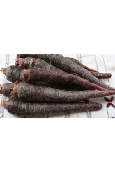 Muka Botanik Mor Havuç Tohumu Ekim Seti - Resim 3