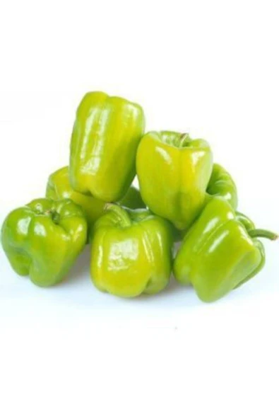 Muka Botanik Tatlı Dolmalık Biber Tohumu Ekim Seti - Resim 3