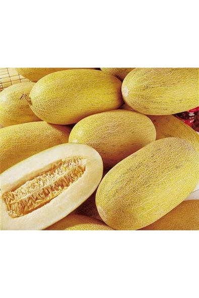 Muka Botanik 20 Adet Golden Sweet Crispy Kavun Tohumu ürün görseli