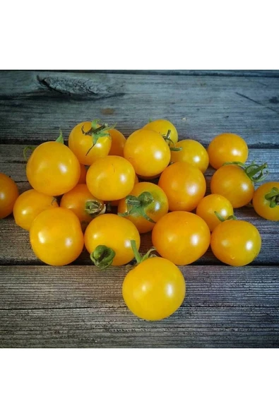 Muka Botanik 20 Adet Hahms Gelbe Micro Dwarf Domates Tohumu ürün görseli