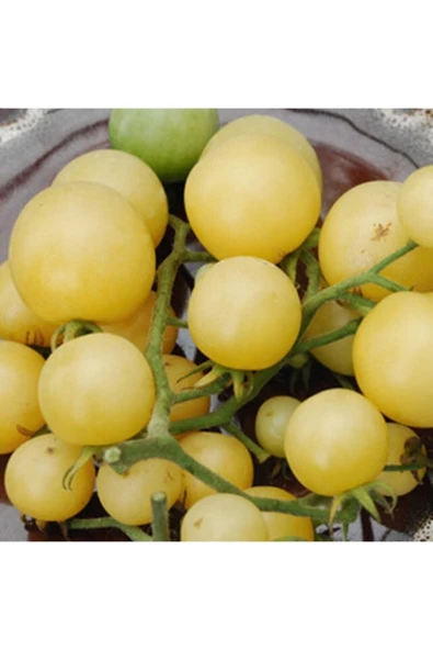 Muka Botanik 20 Adet Super Snow White Domates Tohumu ürün görseli