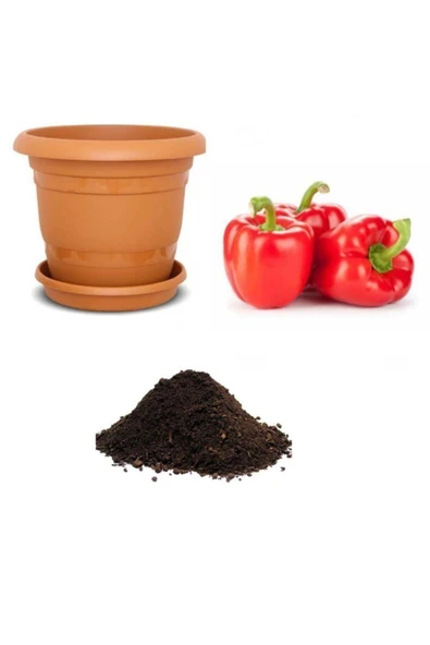 Muka Botanik Nadir Acı Kırmızı Dolmalık Biber Tohumu Ekim Seti ürün görseli