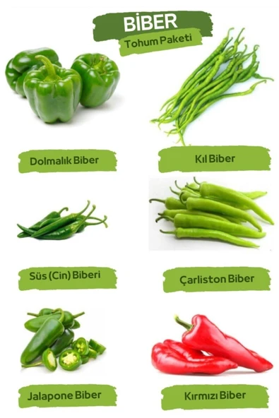 Muka Botanik Biber Tohum Paketi 300+ Tohum ürün görseli