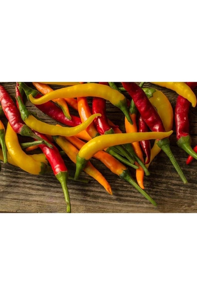 Muka Botanik 50 Adet Karışık Acı Biber Tohumu ürün görseli