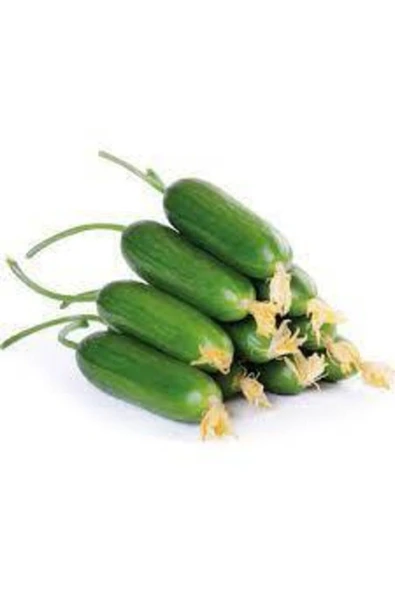 Muka Botanik Badem Salatalık Köy Salatalığı Tohumu 50 Adet ürün görseli