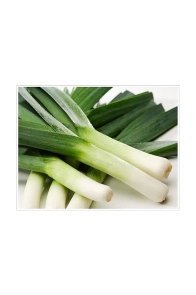 Muka Botanik Inegöl Pırasa Tohumu 100+ Tohum ürün görseli