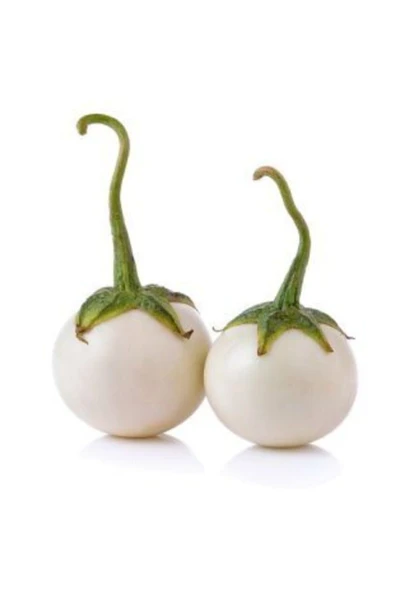 Muka Botanik Nadir Ithal Beyaz Patlıcan Tohumu Ekim Seti 5 - Resim 2