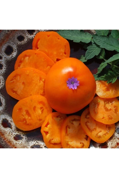 Muka Botanik 20 Adet Nebraska Wedding Domates Tohumu ürün görseli