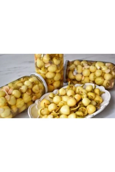 Muka Botanik Acı Fındık Biberi Tohumu Ekim Seti - Resim 5