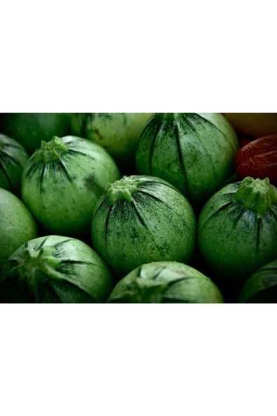 Muka Botanik 10 Adet Organik Yuvarlak Kabak Tohumu ürün görseli