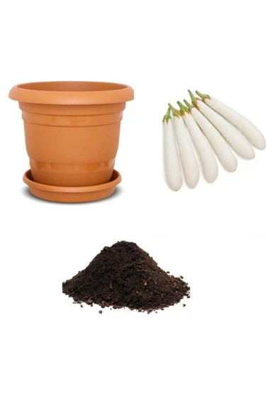 Muka Botanik Nadir Ithal Beyaz Kemer Patlıcan Tohumu Ekim Seti ürün görseli