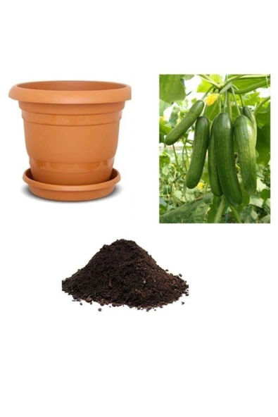 Muka Botanik Erkenci Sırık Salatalık Tohumu Ekim Seti ürün görseli