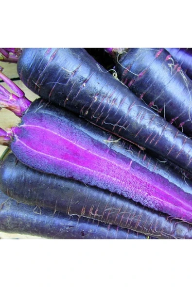 Muka Botanik 20 Havuç Deep Purple Havuç Tohumu ürün görseli