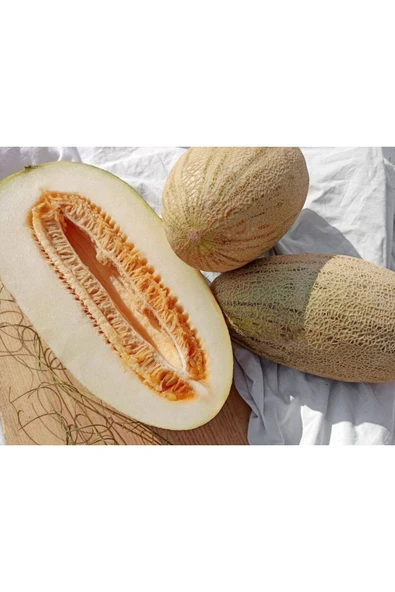 Muka Botanik 10 Adet Özbekistan Kavunu Tohumu ürün görseli