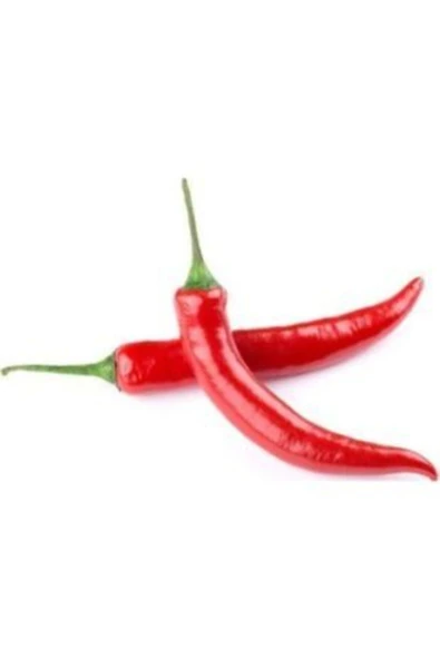 Muka Botanik Meşhur Acı Hatay Biberi Tohumu Ekim Seti - Resim 2