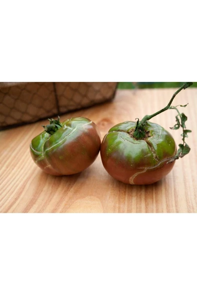 Muka Botanik 20 Adet Black Master Heirloom Premium Domates Tohumu ürün görseli