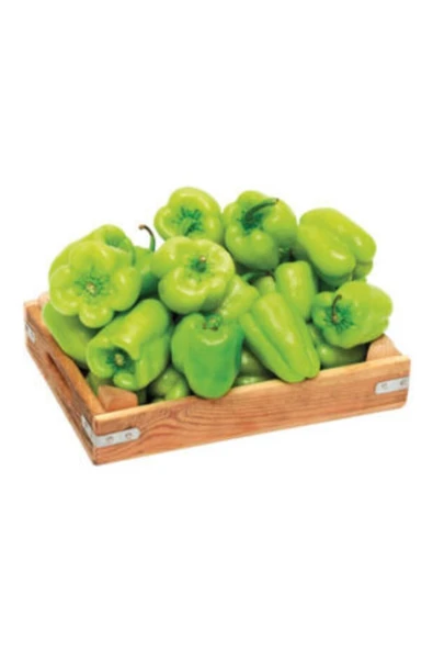 Muka Botanik Tatlı Dolmalık Biber Tohumu Ekim Seti - Resim 2