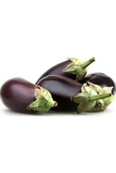 Muka Botanik Dolmalık Antep Patlıcanı Tohumu Ekim Seti - Resim 2