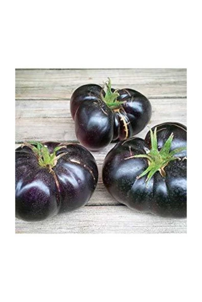 Muka Botanik Siyah Domates Tohumu 20 Adet Tohum Black Tomato - Resim 5