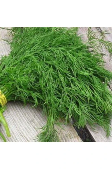 Muka Botanik Geleneksel Dere Otu Tohumu Ekim Seti - Resim 3