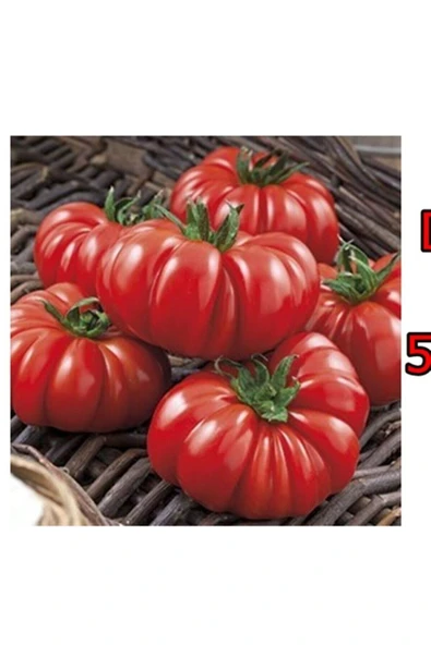 Muka Botanik 20 Adet Italyan Domates Tohumu ürün görseli