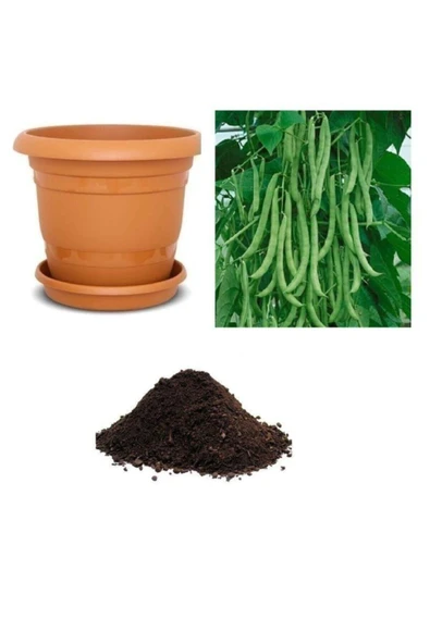 Muka Botanik Sırık Alman Ayşe Kadın Fasulye Tohumu Ekim Seti ürün görseli