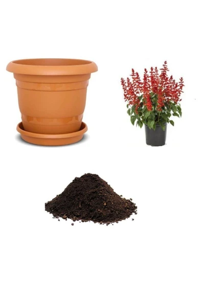 Muka Botanik Kırmızı Ateş Çiçeği Tohumu Ekim Seti ürün görseli