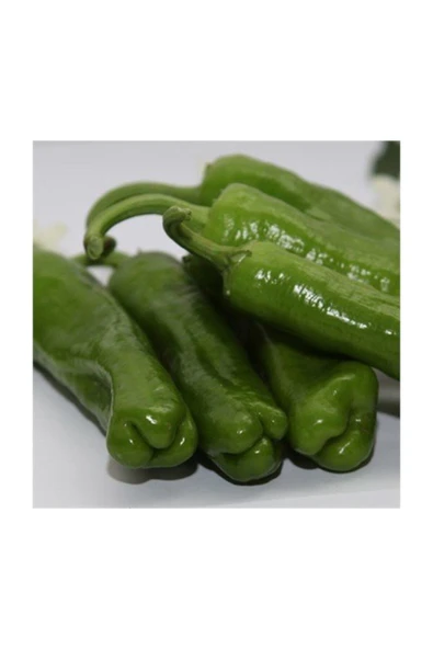 Muka Botanik Meşhur Üç Burun Mazamort Biber Tohumu 25 Adet Tohum - Resim 3