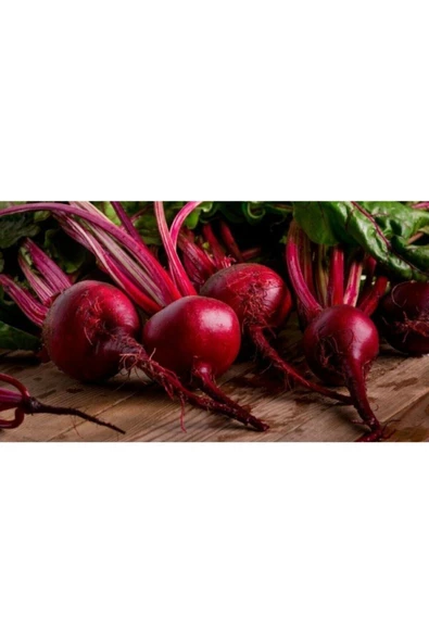 Muka Botanik 500 Adet Atalık Pancar Tohumu ürün görseli