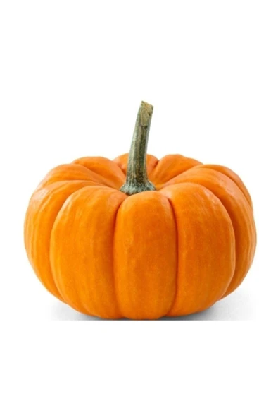 Muka Botanik Iri Bal Kabağı Tohumu 5 Adet Kabak Tohumu