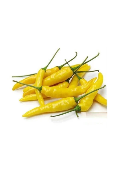 Muka Botanik Turşuluk Sarı Stone Biber Tohumu 20 Adet Süs Biberi Tohumu ürün görseli