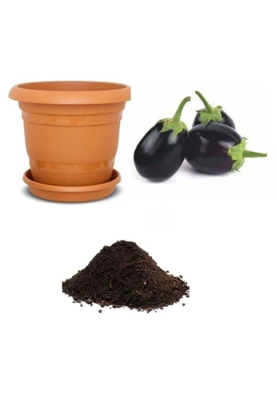 Muka Botanik Iri Topan Dolmalık Patlıcan Tohumu Ekim Seti ürün görseli