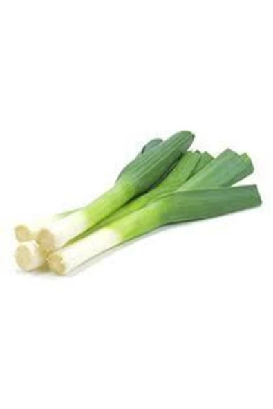 Muka Botanik 200 Adet Yeşil Prasa Tohumu ürün görseli