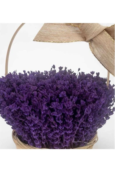 Muka Botanik 10 Adet Bodur Ingiliz Lavantası Kokulu Çiçek Tohumu ürün görseli