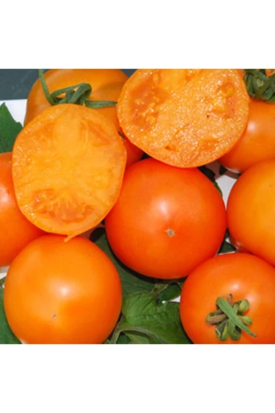 Muka Botanik 20 Adet Mandarin Orange Domates Tohumu ürün görseli