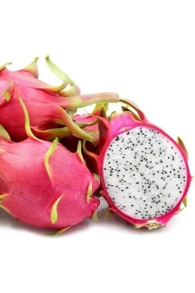 Muka Botanik Tropikal Saksılık Pitaya Tohumu Ekim Seti - Resim 3