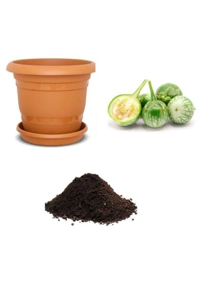 Muka Botanik Ithal Yeşil Dolmalık Patlıcan Tohumu Ekim Seti ürün görseli