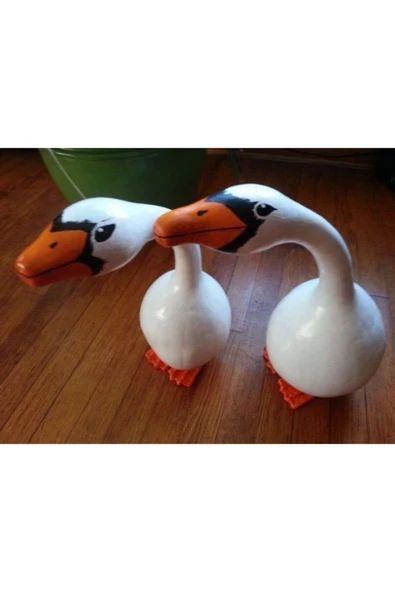 Muka Botanik Nadir Kuğu Su Kabağı Tohumu Ekim Seti - Resim 2