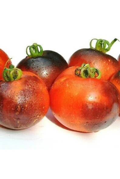 Muka Botanik 20 Adet Cosmos Domates Tohumu - Resim 2