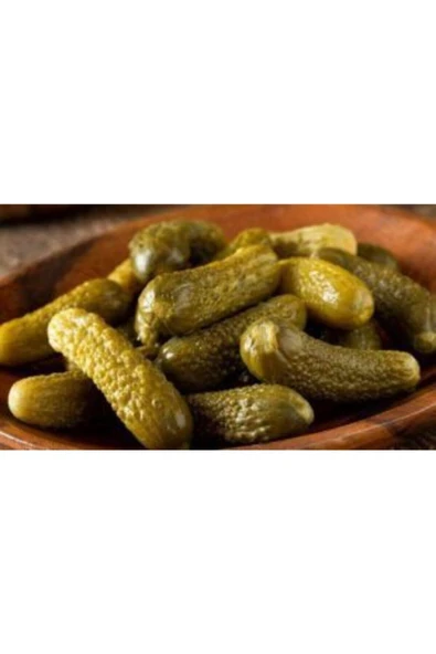 Muka Botanik Kornişon Salatalık Tohumu Ekim Seti - Resim 4