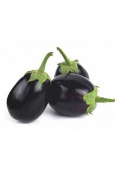 Muka Botanik Iri Topan Dolmalık Patlıcan Tohumu Ekim Seti - Resim 2