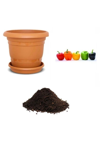 Muka Botanik Rengarenk Dolmalık Biber Tohumu Ekim Seti ürün görseli