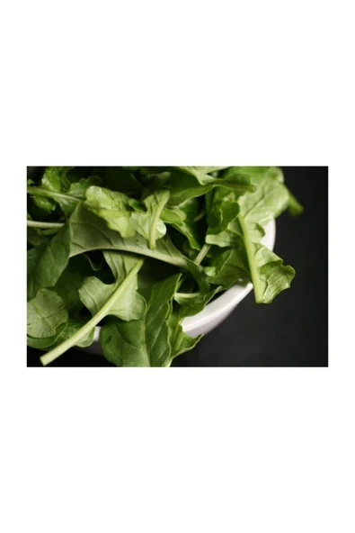 Muka Botanik Dantel Kenarlı Italyan Roka 1000+ Tohum - Resim 2