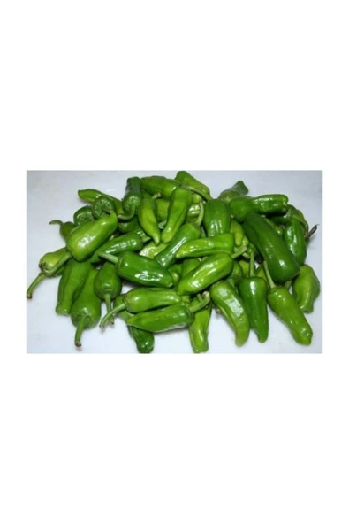 Muka Botanik Yeşil Köy Biberi Tohumu / 10 Adet - Resim 2