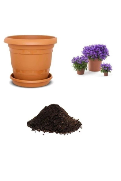 Muka Botanik Mor Campanula Çiçeği Tohumu Ekim Seti ürün görseli